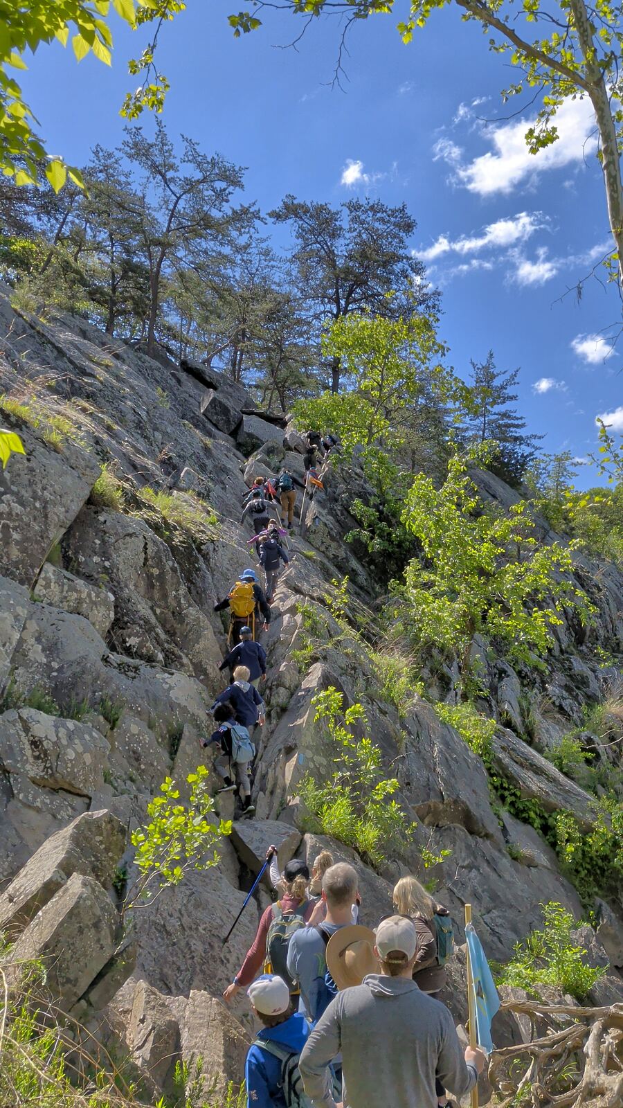 Pack 209 Scouts hiking together
